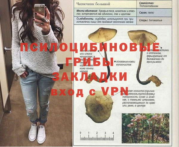 спиды Мегион
